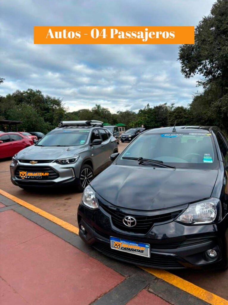 Auto de 4 pasajeros